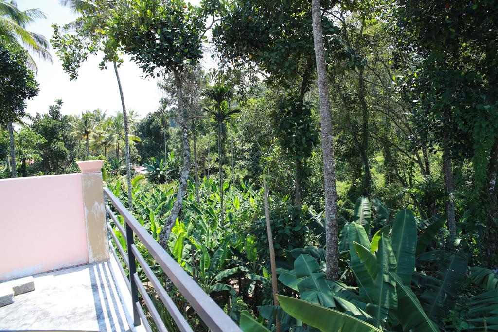 Periyar Villa Home Stay - Thekkady Buitenkant foto